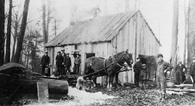 Reproduction d’une photographie d’une cabane &agrave; sucre, Alexandria (Ontario), ca 1930.