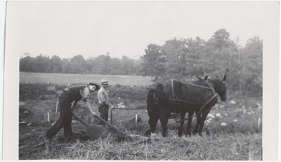 Reproduction d’une photographie des travaux de labour sur la ferme des p&egrave;res Blancs, Vanier (Ontario), 1940.